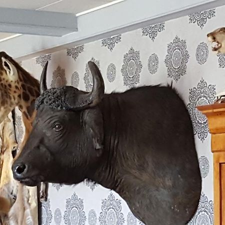 Chalet Sur Lesse Hotel Maissin Kültér fotó