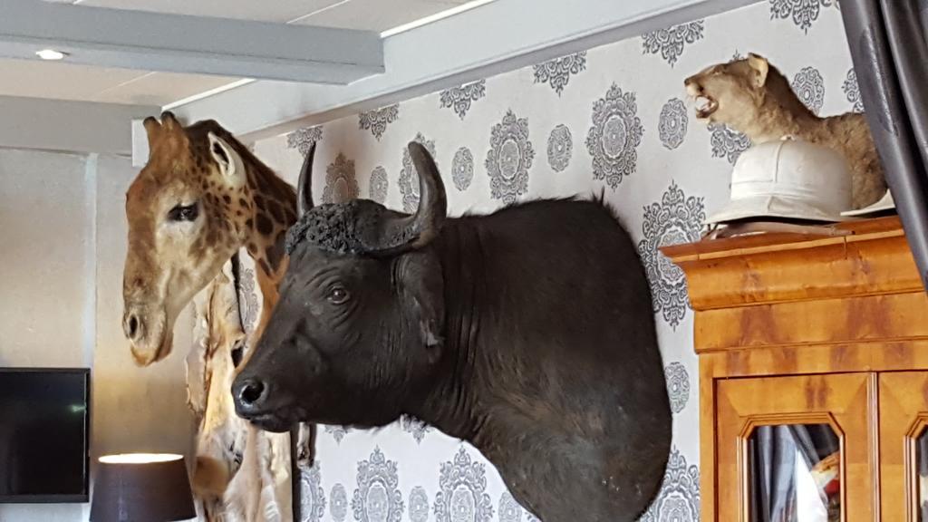 Chalet Sur Lesse Hotel Maissin Kültér fotó